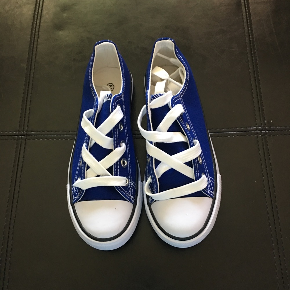 Brand New Blue low top canvas shoes.